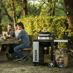 Napoleon Barbecue Charbon Avec Couvercle Napoléon Rodeo Pro Sur Chariot -Vente Napoléon barbecue charbon napoleon rodeo pro sur chariot 9