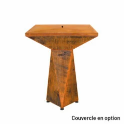 Braséro Plancha Artiss G1 Basic Corten 74 Cm Plancha Plaque Acier -Vente Napoléon brasero artiss g1 basic corten plancha acier carbone 5