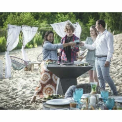 Braséro Plancha Artiss G1 Graphite 90 Cm Plaque Acier -Vente Napoléon brasero artiss g1 graphite plancha acier carbone 5