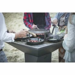 Braséro Plancha Artiss G1 Graphite 90 Cm Plaque Acier -Vente Napoléon brasero artiss g1 graphite plancha acier carbone 6