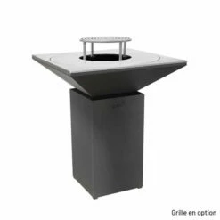 Braséro Plancha Artiss G7 Graphite 90 Cm Acier -Vente Napoléon brasero artiss g7 graphite plancha acier carbone 1