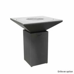 Braséro Plancha Artiss G7 Graphite 90 Cm Acier -Vente Napoléon brasero artiss g7 graphite plancha acier carbone 2