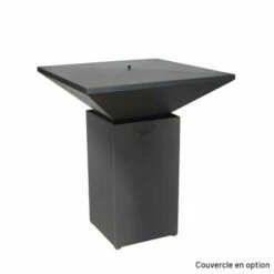 Braséro Plancha Artiss G7 Graphite 90 Cm Acier -Vente Napoléon brasero artiss g7 graphite plancha acier carbone 4