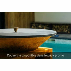 Braséro Plancha OFYR Classic 100 Acier Corten -Vente Napoléon brasero plancha ofyr classic 100 100 11