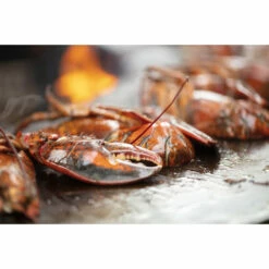 Braséro Plancha OFYR Classic 100 Acier Corten -Vente Napoléon brasero plancha ofyr classic 100 100 8