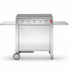 Chariot Sur Mesure Fermé Plancha Planet 80 Inox -Vente Napoléon chariot ferme inox pour plancha planet 80