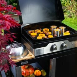 Ensemble Plancha Gaz Le Marquier Allure 260 Duo Avec Capot Sur Desserte Acier/inox -Vente Napoléon ensemble plancha electrique le marquier allure 260 duo avec capot sur chariot duo le marquier 5