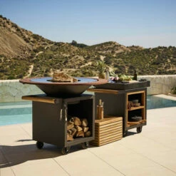 Fire Guard OFYR Ring 85 -Vente Napoléon fire guard ring 85 1