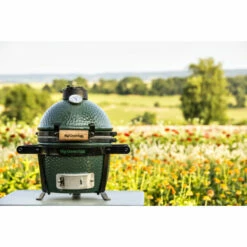 Kamado Big Green Egg Mini Øint 25cm à Poser Ou Encastrer 20 Kamado Big Green Egg Mini Øint 25cm à Poser Ou Encastrer -Vente Napoléon kamado big green egg mini ceramique o25 8